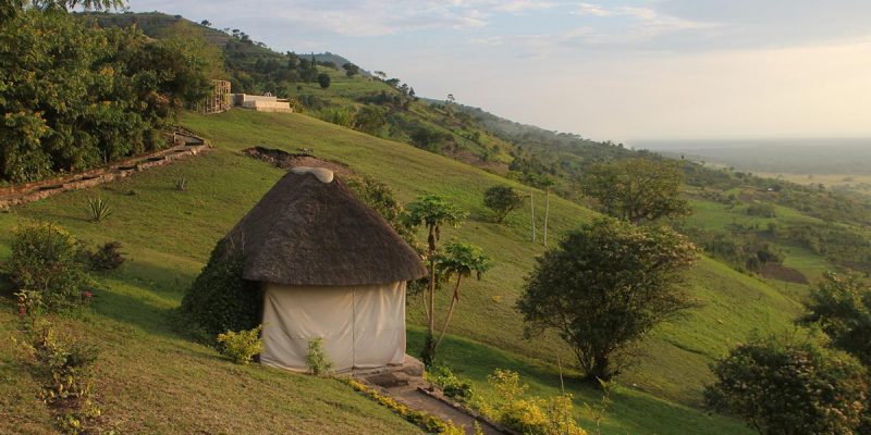 13 Days Uganda Safari Holiday, Wildlife & Gorilla Trekking