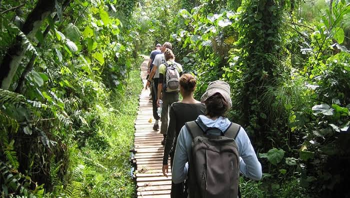 7 Days Bwindi Gorilla Trek & Wildlife Uganda