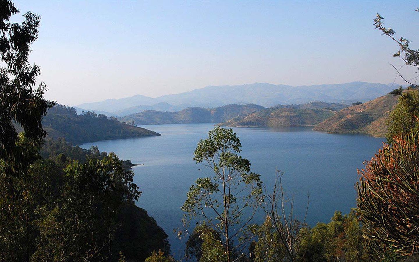 Explore Rwanda & Uganda Safari