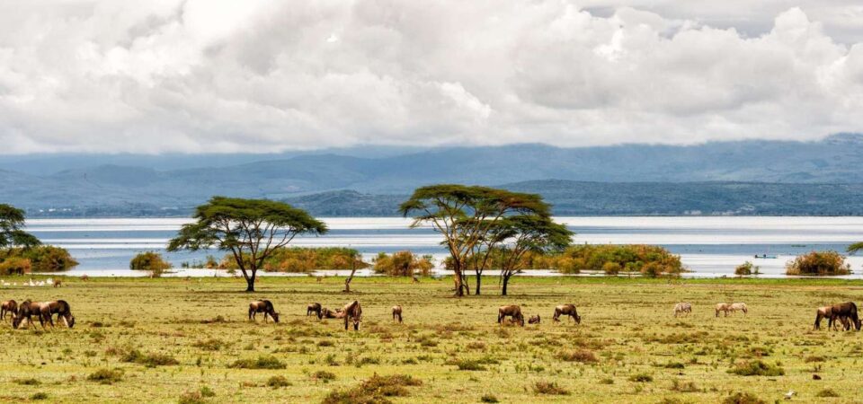 6 Days Epic Kenya Road Safari With Luxury Lake Front Stay