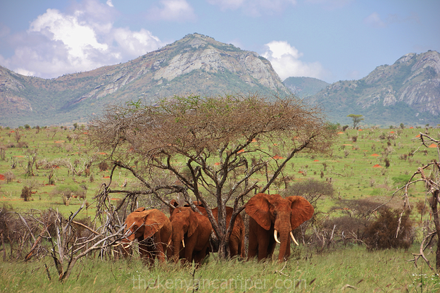 3 days Tsavo East, Taita Hills & Lumo Sanctuary