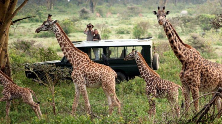 6 Day Magical Kenya Safari