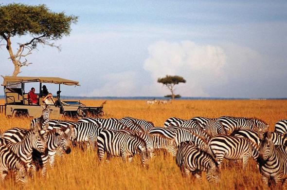 3 Days Maasai Mara Luxury Safari