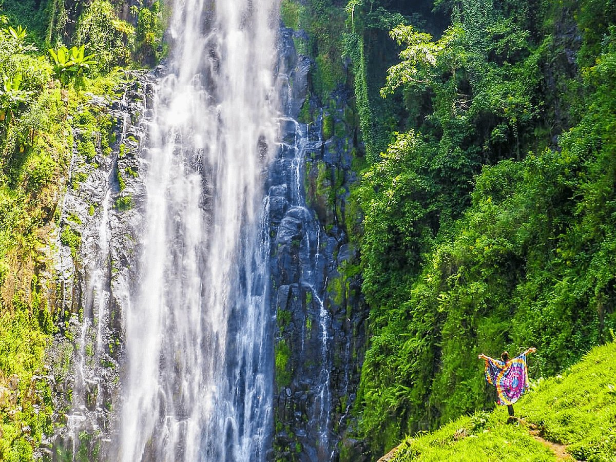 Materuni Waterfalls & Coffee Tour