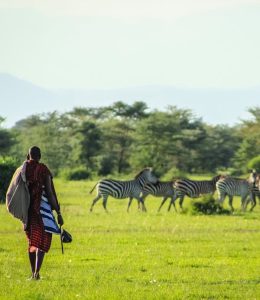 8 Day Kenya Safari