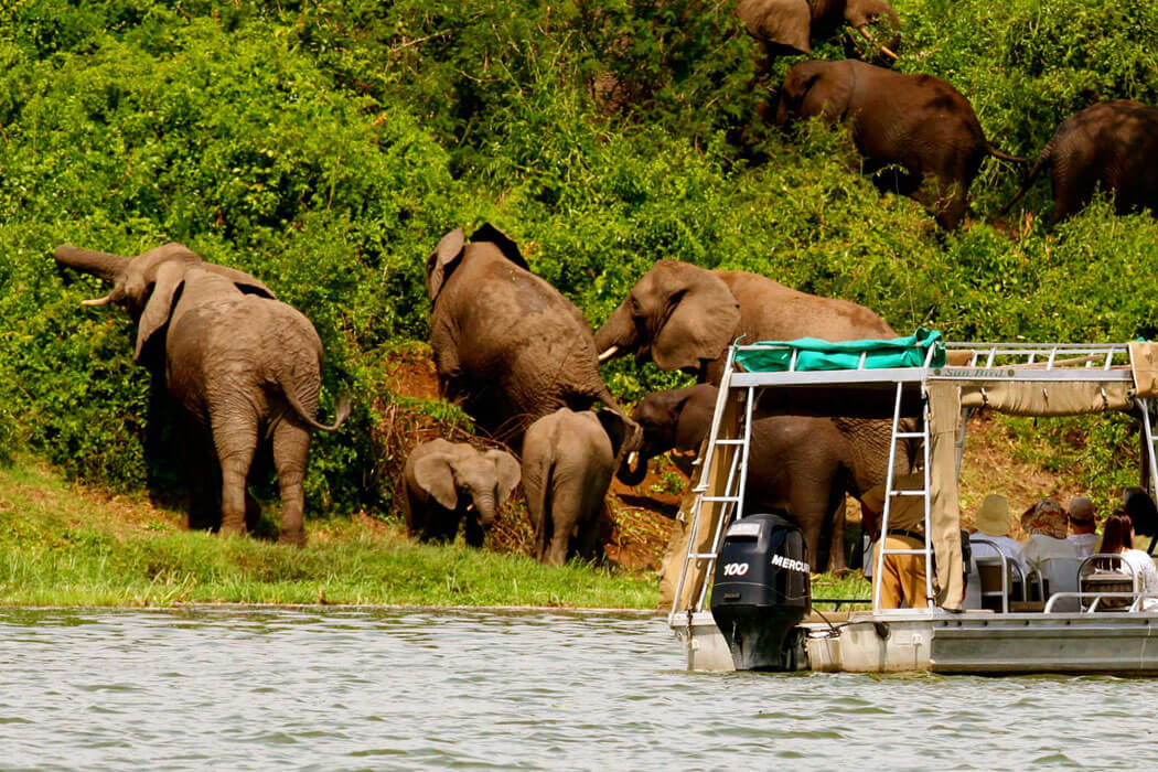 15 Days Ultimate Uganda Safari Highlights