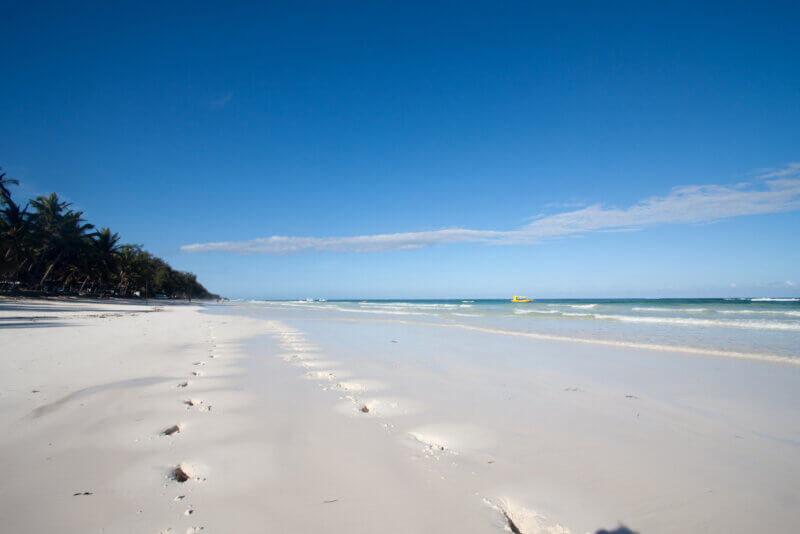 10 Days Sensational Bush & Beach Kenya Safari