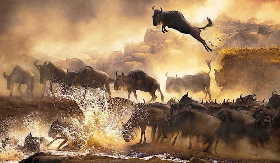 10 Day Tanzania Great Wildebeest Migration Safari