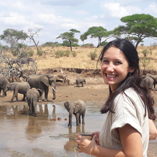 4 Day Majestic Shared Safari