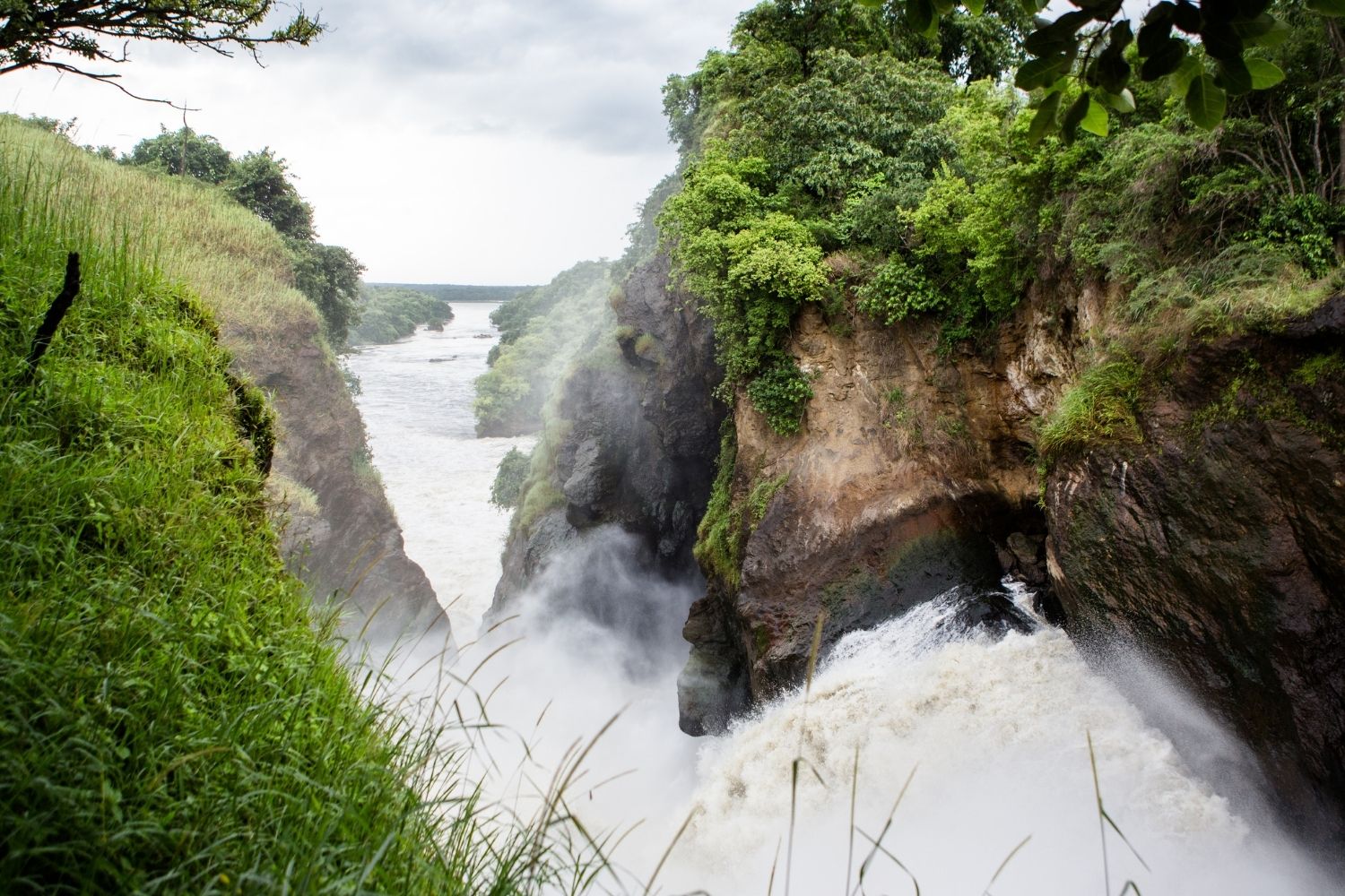 3-Day Murchison Falls Wildlife Safari & Rhino Tracking Experience