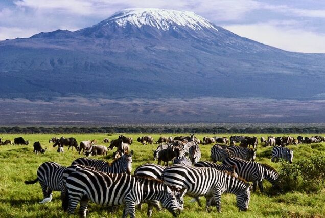 Best of Kenya & Tanzania Safari