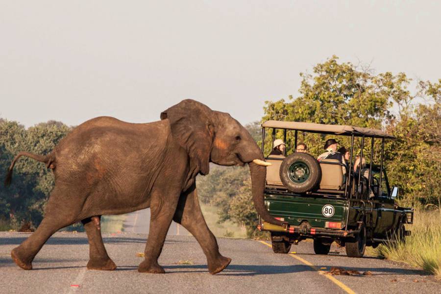 Kenya & Tanzania Signature Safari