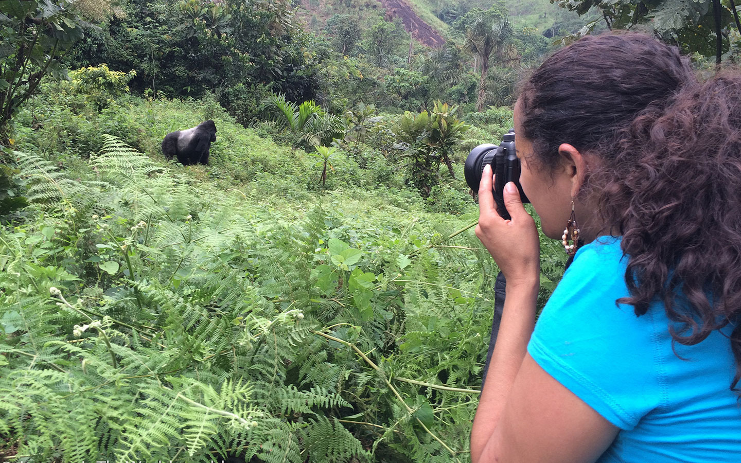 6 Days Gorillas & Wildlife Safaris Uganda