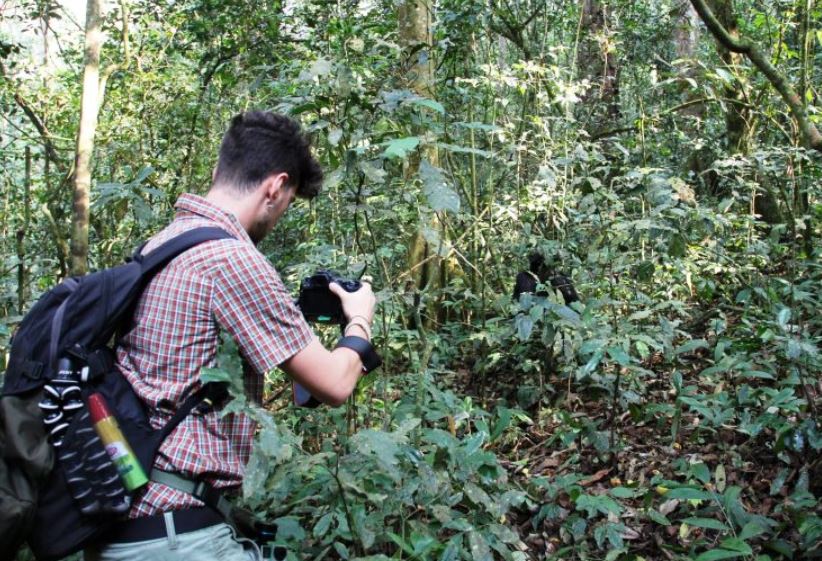 16 Day Great Loop Uganda Safari