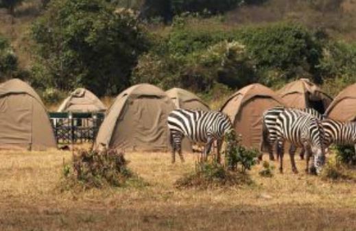 7 Day Camping Safari