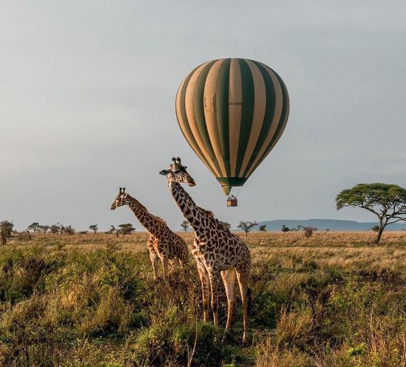 6 Day Camping Safari