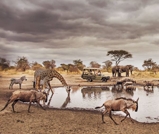 5 Day Camping Safari