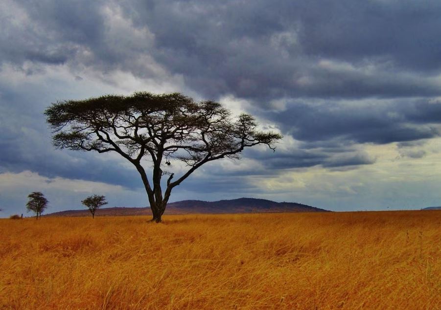 9 Day Kenya & Tanzania Combined Safari