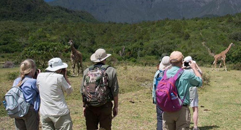 Day Tour Arusha National Park
