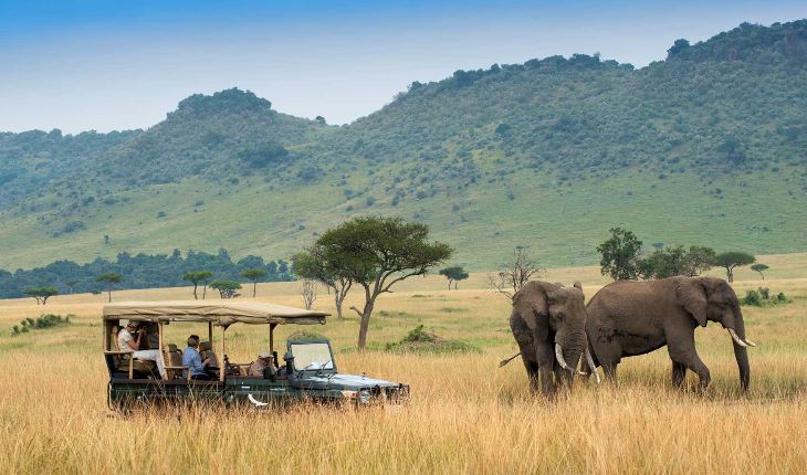 7 Days Best of Kenya Classic Wildlife Safari