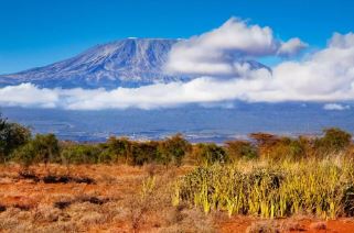 11 Day Masai Mara & Uganda Gorilla Trekking Safari