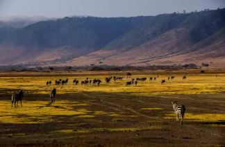 12 Day Tanzania Exploration Adventure