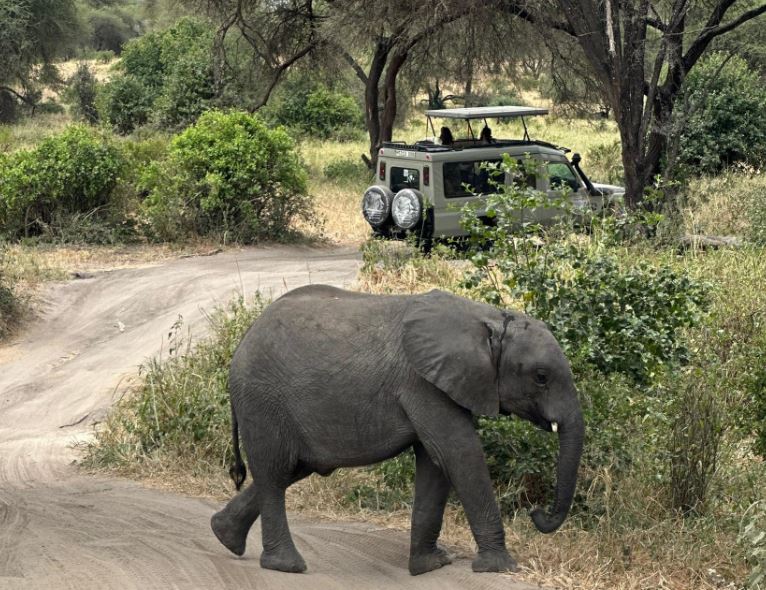 2 Day Tanzania Safari