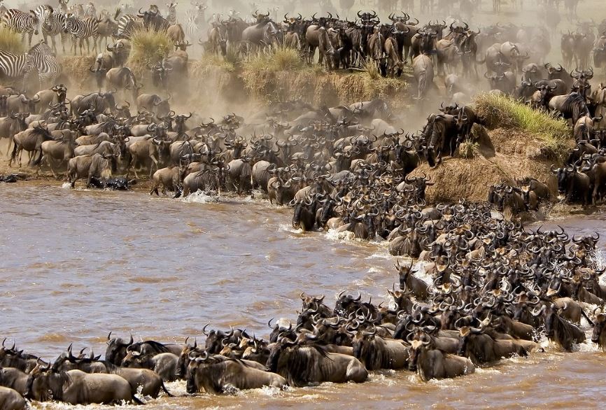 7 Day Tanzania Safari
