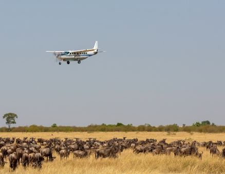 Fly-In Safari from Arusha to Serengeti