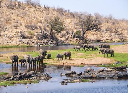 3 Day Tanzania Lodge Safari