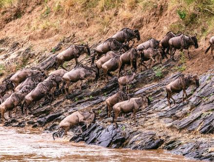 9 Day Tanzania Photographic Tour