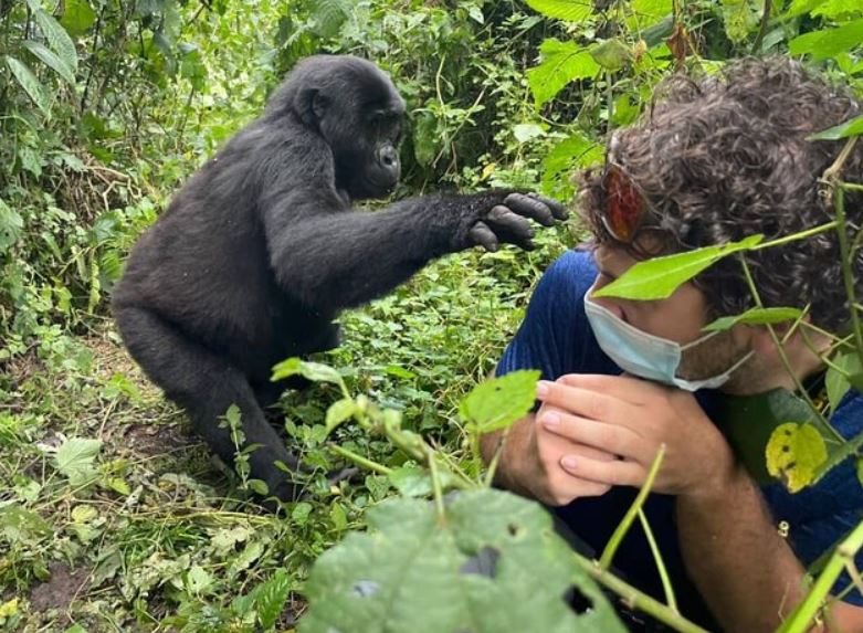 12 Day Pearl of Africa Uganda Gorilla, Chimpanzee & Wildlife Safari