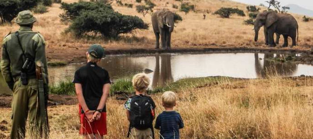 6 Day Tanzania Safari