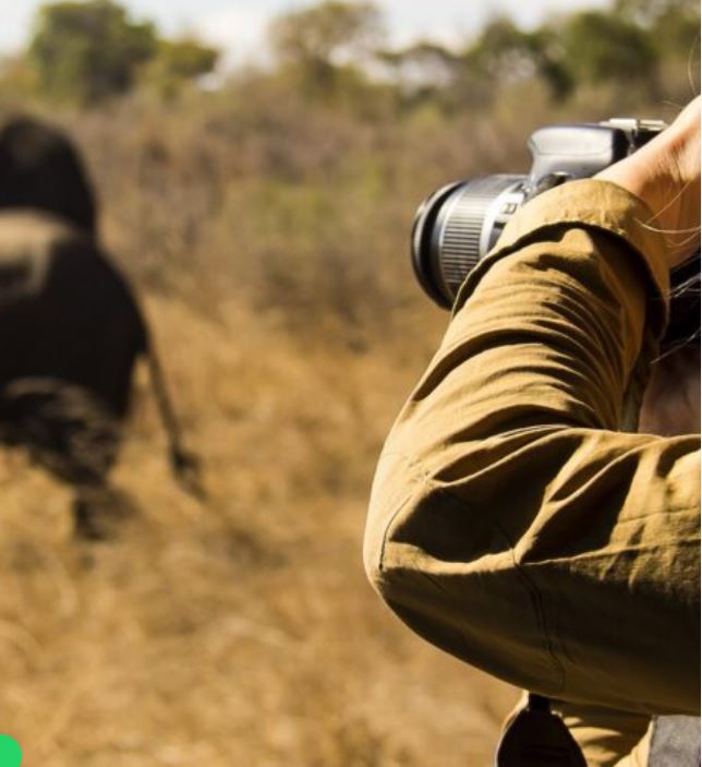 11 Days Kenya Wildlife Photography Safari