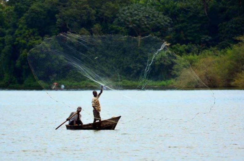 5 Day Luxury Twice Gorilla Trek & Golden Monkey Safari