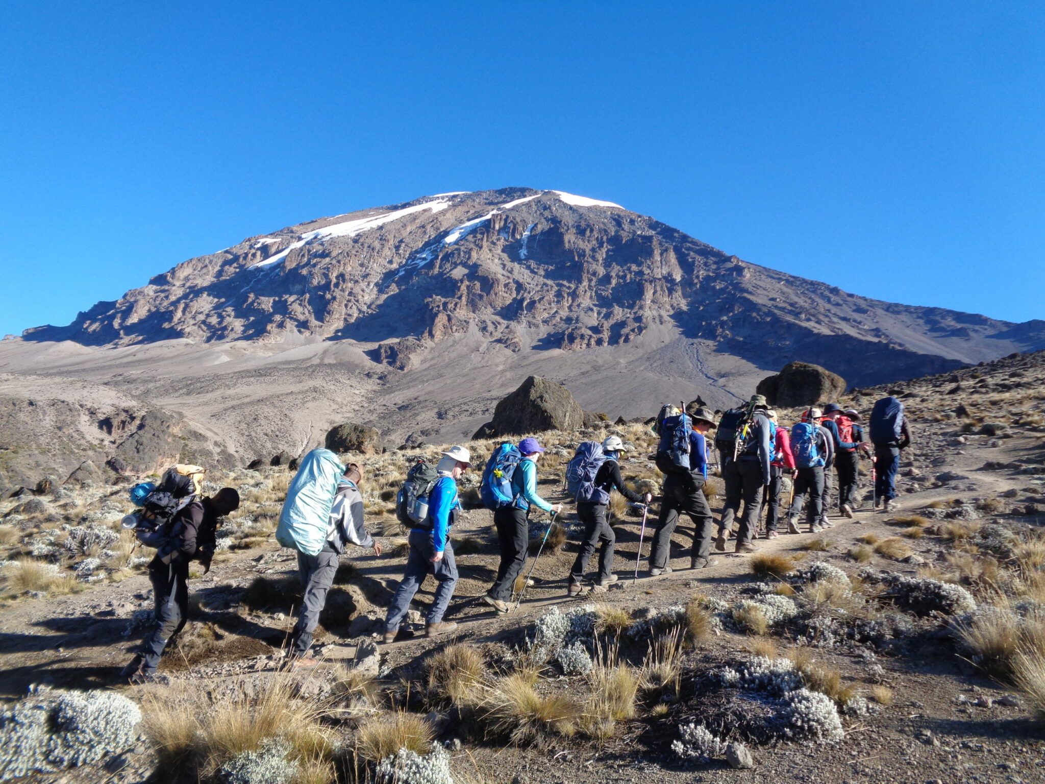 Kilimanjaro Lemosho Route 8 Days