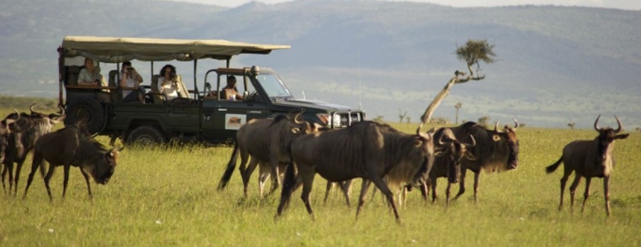 6 Day Kenya Budget Safari