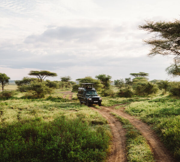 4 Days, 3 Night Safari