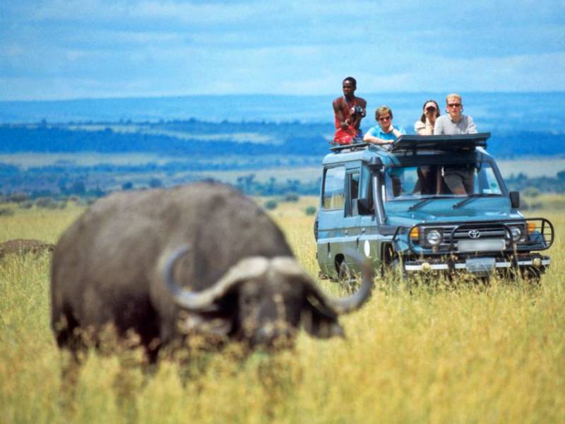 Best of Kenya Adventure Safari