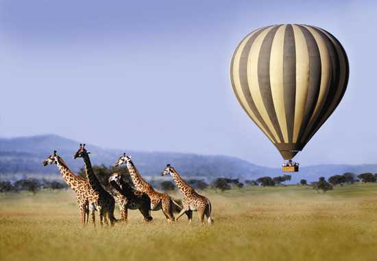 Serengeti Hot Air Balloon Safari