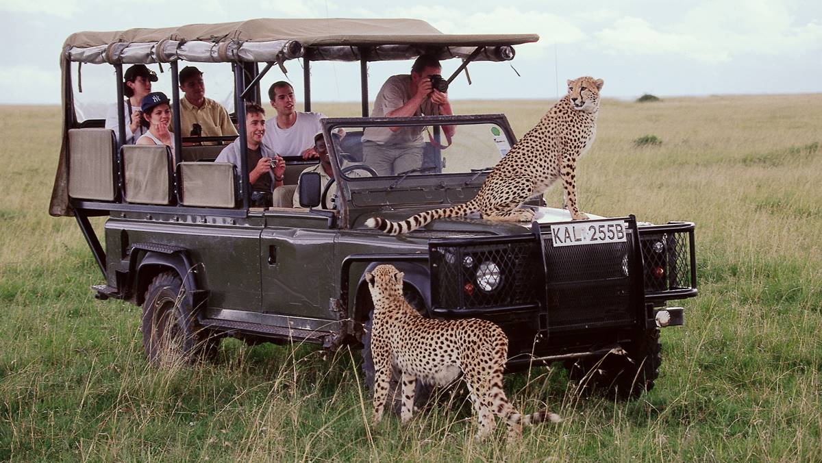 3 Day Maasai Mara Air Safari from Diani / Mombasa