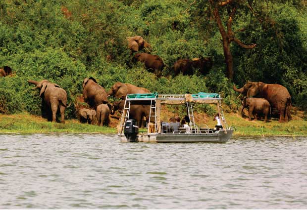 8 Day All Inclusive Custom Vacation Tour of Uganda