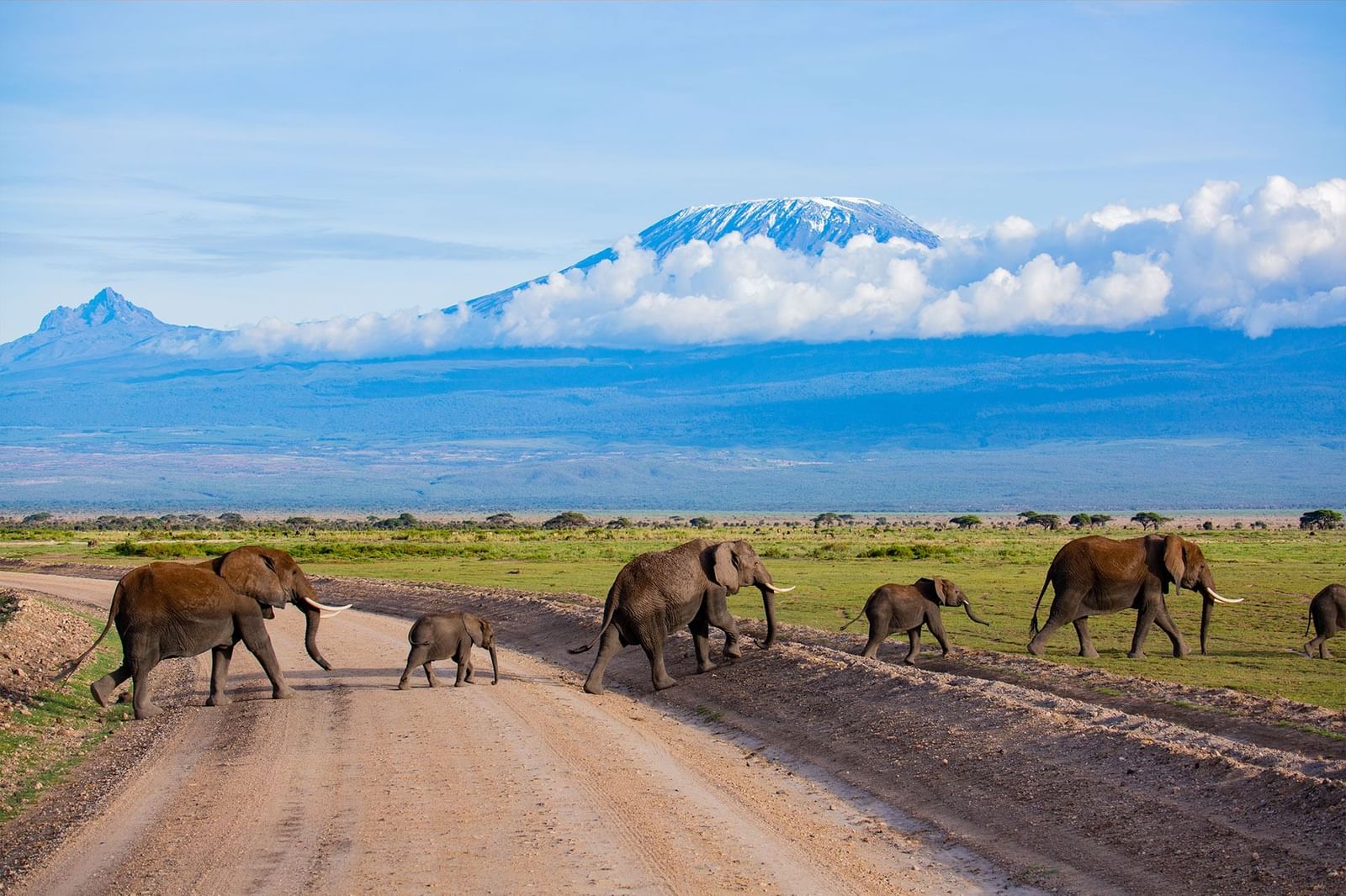 4 Days Nairobi To Nairobi Southern Circuit Safari