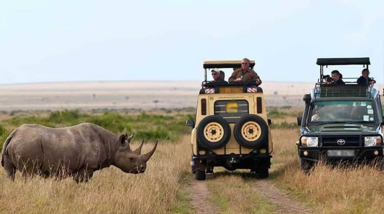 5 Day Aberdare, Lake Nakuru and Masai Mara Road Safari from Nairobi