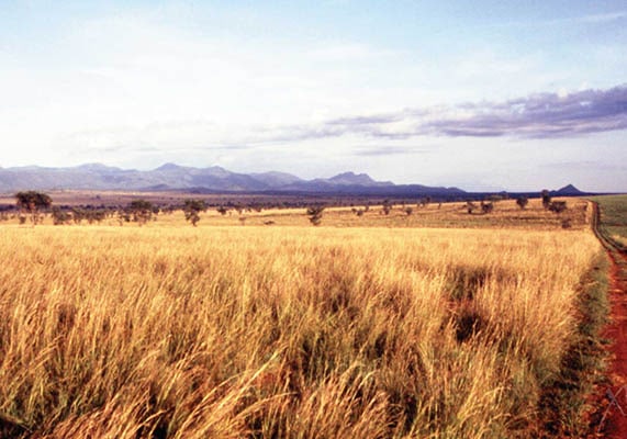 4 Days Road Trip Safari to Kidepo Valley National Park