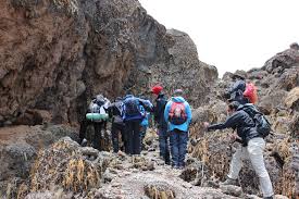 8 Days Mount Kilimanjaro Climbing Lemosho Route