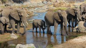 8 Day Tanzania Budget Safari