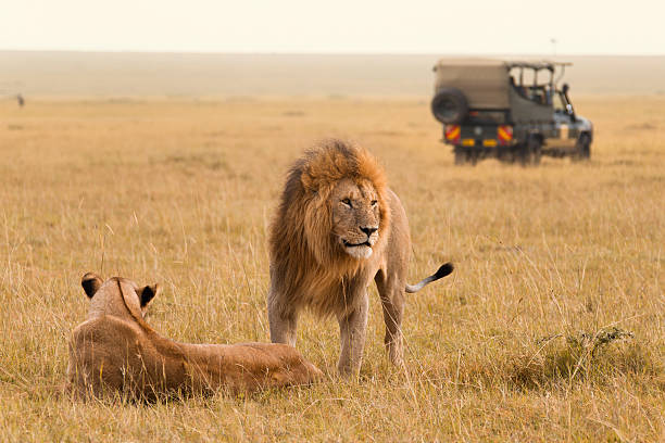 4 Days Masai Mara Safari