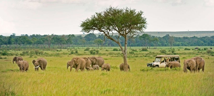 5 Day Kenya Budget Safari