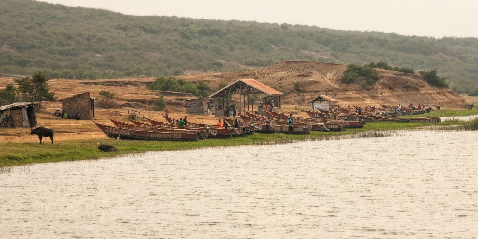 10 Day Mini Combo of Uganda Highlights & Safari